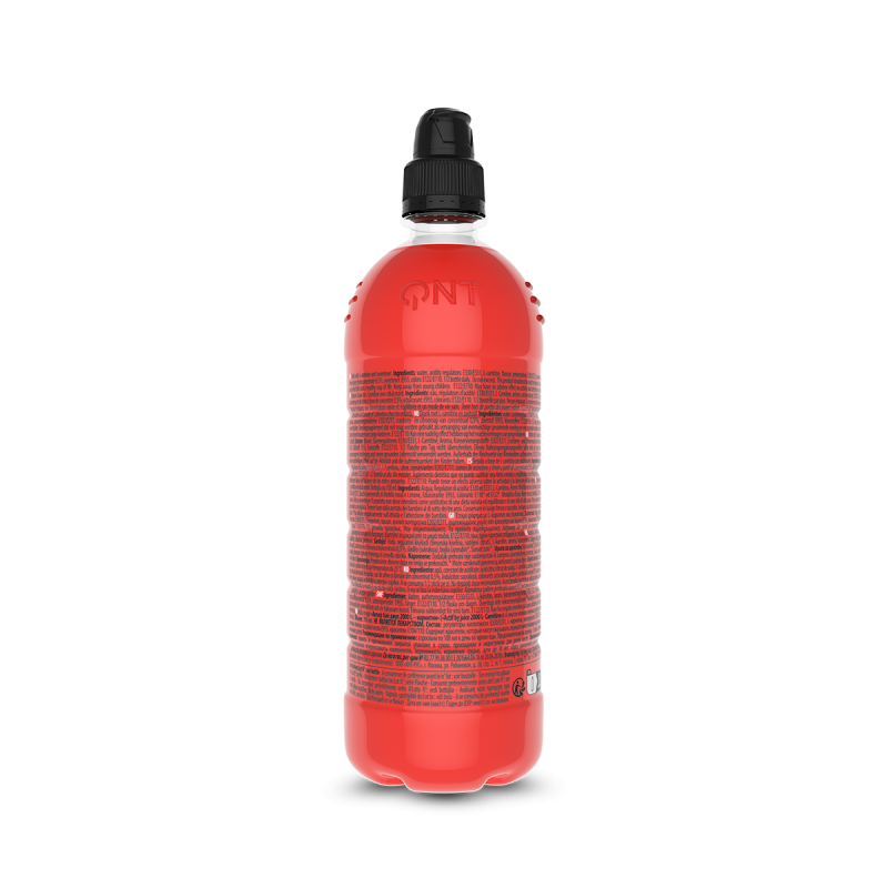 L-CARNITINE 2000 MG